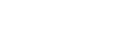 VanguardSolutionz